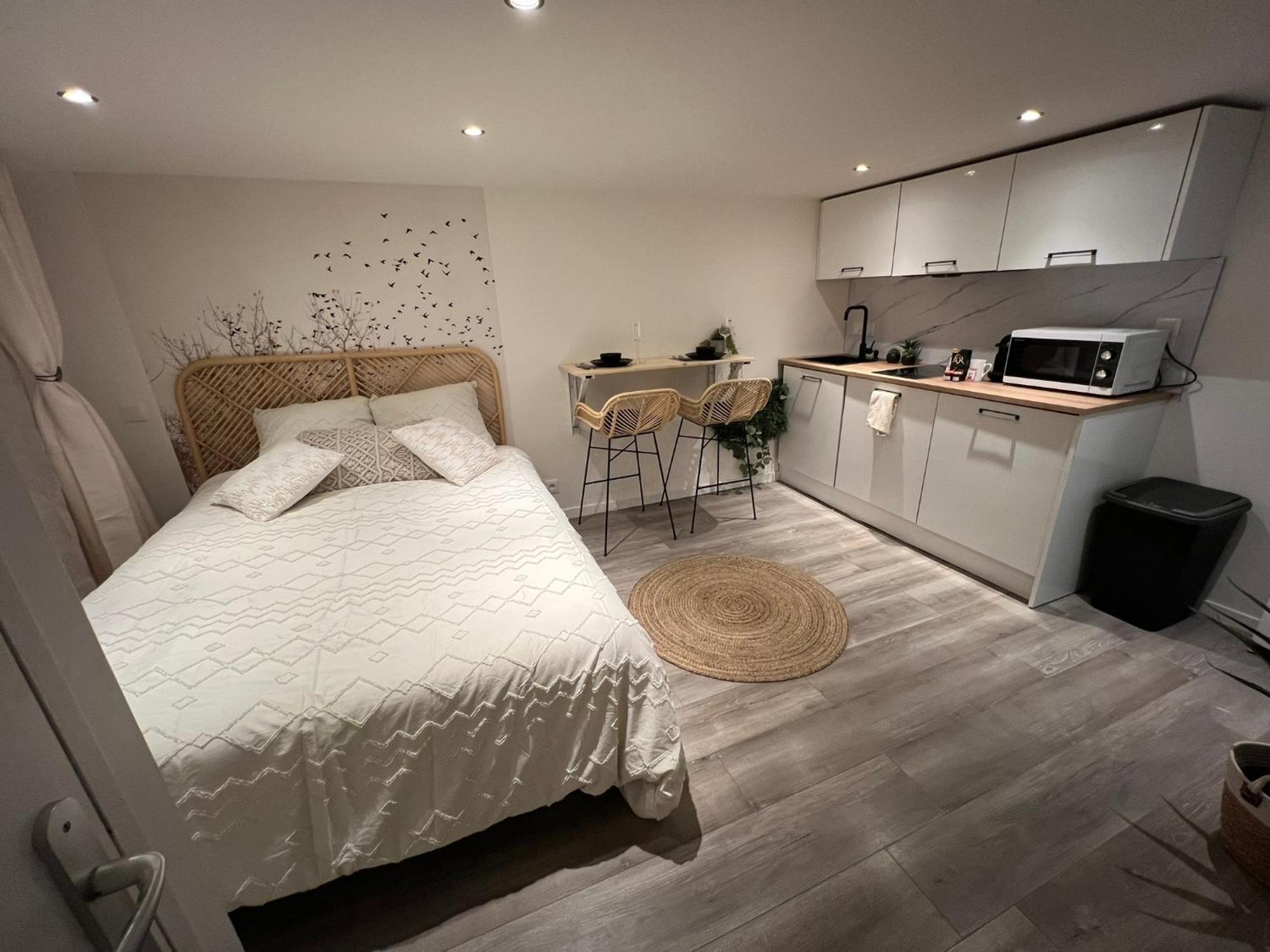 Apartamento Le Zenith Vieille D'annecy *