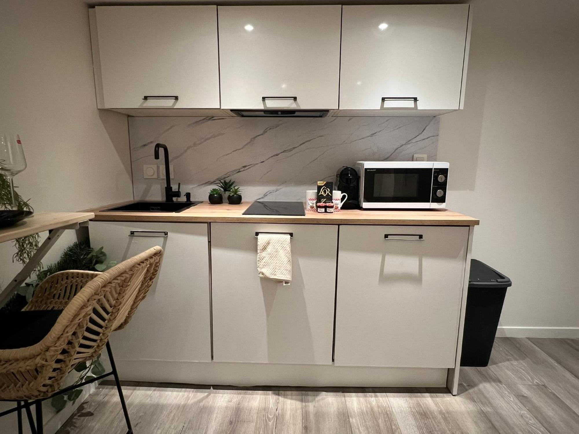 Appartement Le Zenith Vieille D'annecy Annecy